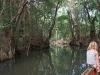 img_4341 img_4341
