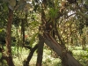 dscf3886 dscf3886