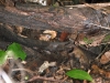 dscf3958 dscf3958