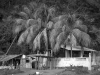 dscf3008 dscf3008