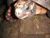 dscf1535 dscf1535